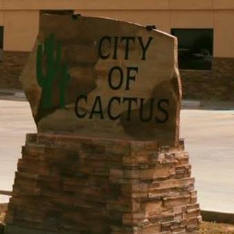 cactus tx2